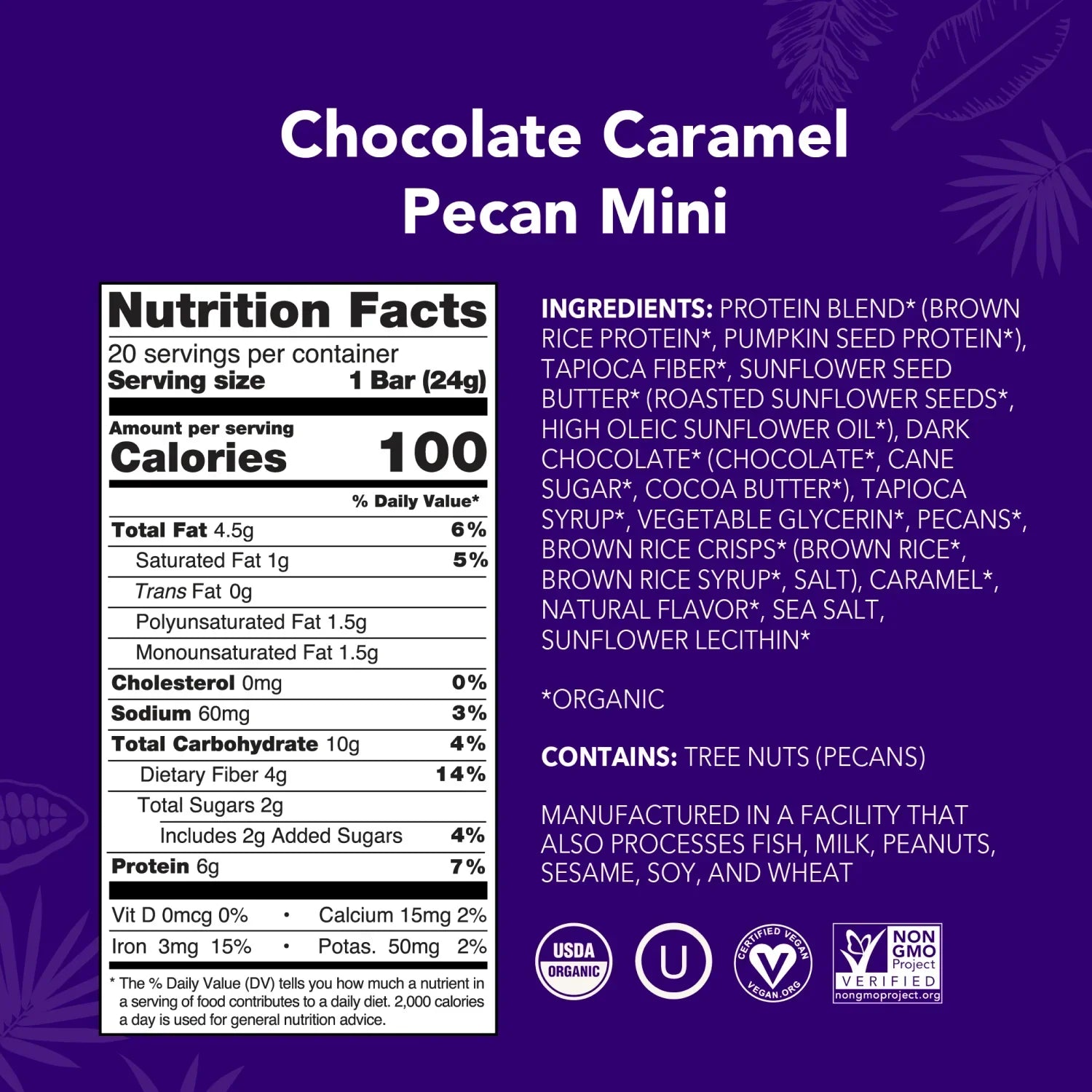 Chocolate Caramel Pecan - Mini Bars - Plant-Based Fuel for Busy Days